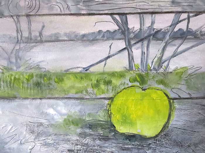 Sue Barry, Natures Still Life    ,   art for sale