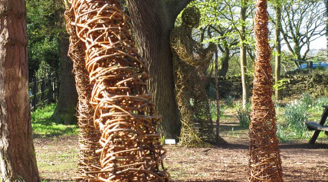 Charnwood’s Biggest Ever Woodland Arts Event