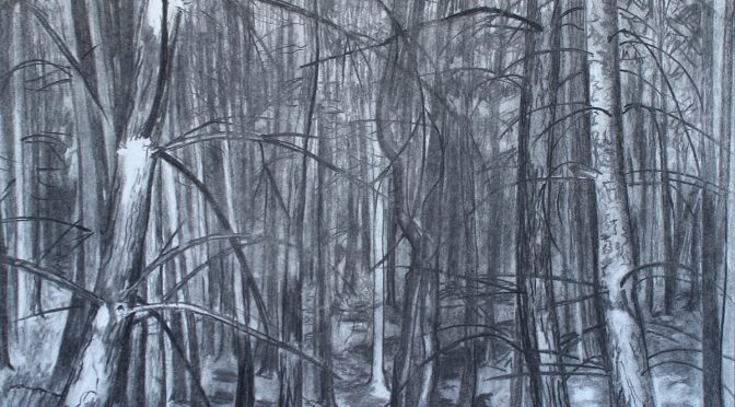 ‘A Sense of Place’ – A New Show by the Association of Leicestershire Artists.