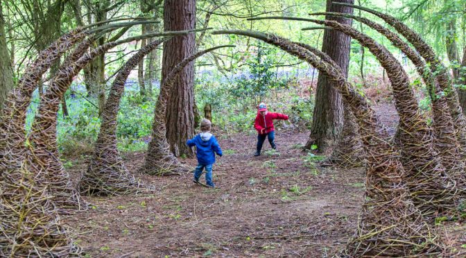 Shire Grants and the National forest award funding !