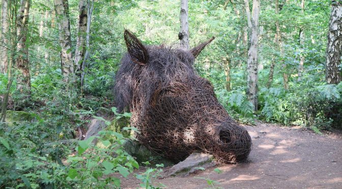 Outwoods Sculpture Trail sees more than 20,000 visitors !