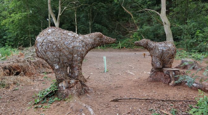 sculpture trail moves to Beacon country park