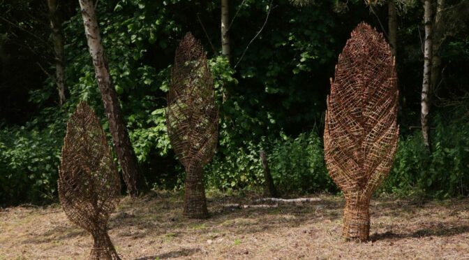 Fascinating fossil day at the beacon sculpture trail